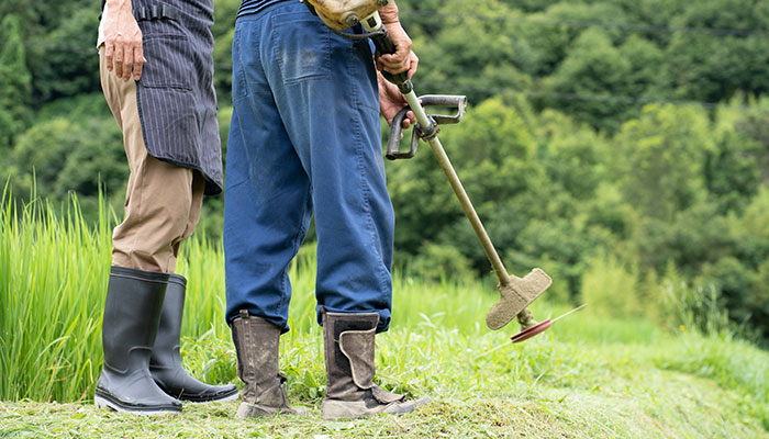 草刈り・外周整備・伐採