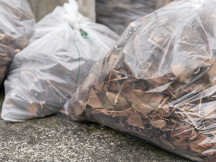 庭木・枝木・倒木の片付け
