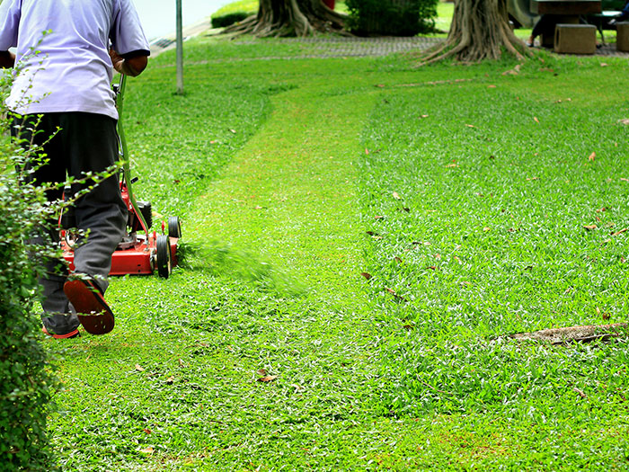 その他・定期管理のご相談